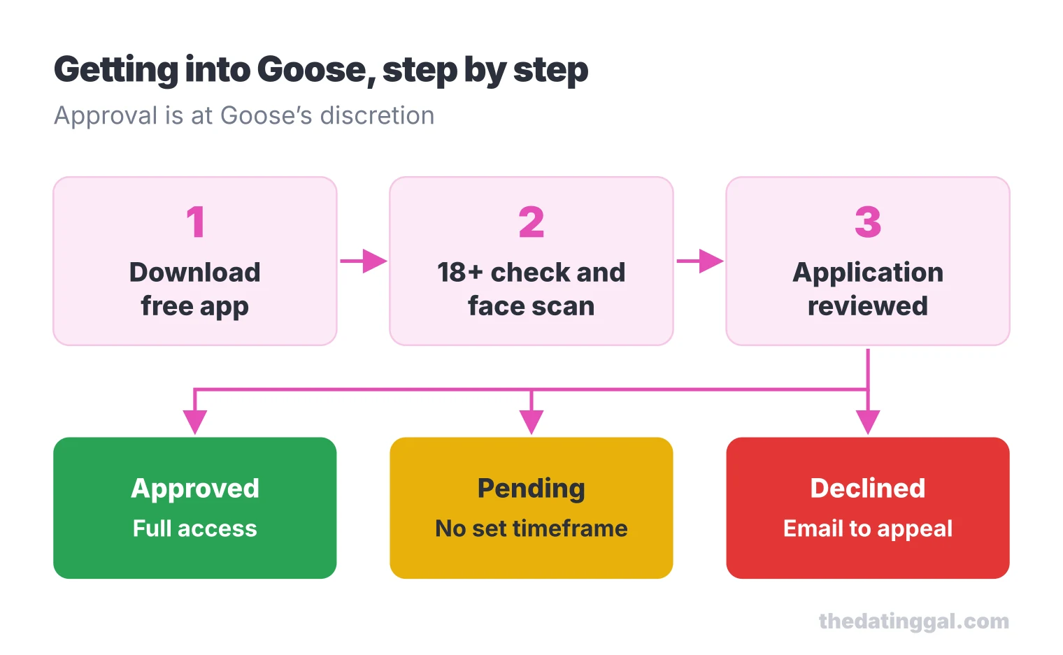 Flow of joining Goose: download, age check and face scan, application review, then approved, pending with no set timeframe, or declined with an email appeal