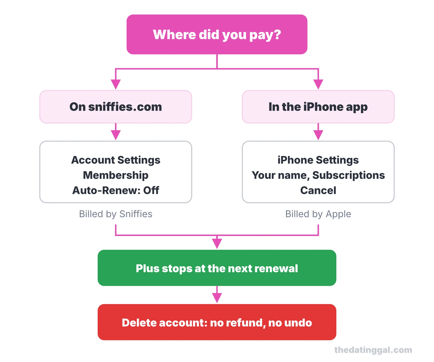 Flow chart: turn off Sniffies Plus auto-renew on sniffies.com or in Apple subscriptions, then delete the account, which gives no refund