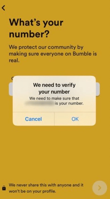 Bumble-review-signup-2