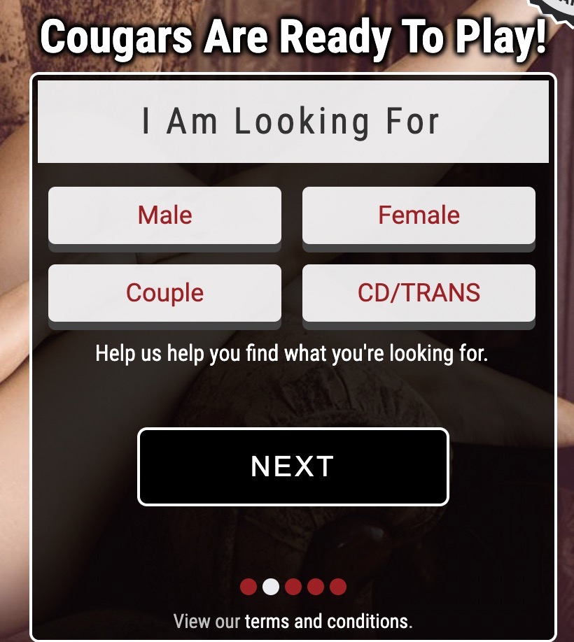cougars-69-review-signup-3